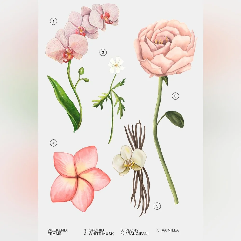 Zara Femme Summer Collection 04‎ E.D.T. Fragrance 90ml 3.04 fl.oz. Spray